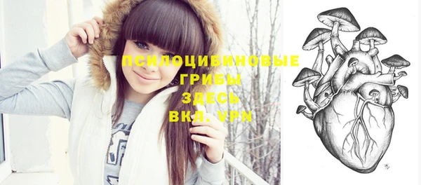 таблы Новодвинск