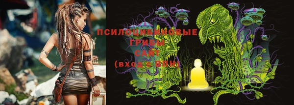 круглые Новозыбков