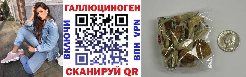 ссылка на мегу ССЫЛКА  Томск  Псилоцибиновые грибы Psilocybine cubensis 