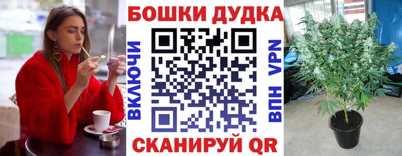 Каннабис индика хочу Томск